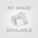 Gạch ốp tường 30x60 vân trắng trơn họa tiết bông hoa đơn giản