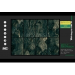 Gạch 80x120 màu xanh NAPOLI sang trọng tại Trảng Bàng - Tây Ninh