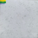 ĐÁ BÓNG KÍNH 60X60 PRIME 9150