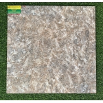 Gạch Bóng Kiếng 60x60 Toco 6528