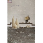 Gạch Ốp Tường 30X60 Long Hậu 3604