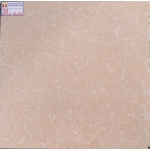 ĐÁ BÓNG KIẾNG 60X60 TRUNG QUỐC 6819