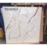 ĐÁ BÓNG KIẾNG 100X100 TRUNG QUỐC TD107011