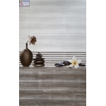 Gạch Ốp Tường 30X60 Ý MỸ 36005