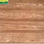 Gạch Men Bóng 50X50 Pak 5065