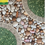 Gạch Sân Vườn 50x50 Giá rẻ 580033