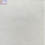 Gạch bóng kiếng 60x60 Vecta-tc 6648