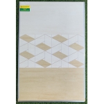 Gạch ốp tường trang trí 30x60 men mờ cao cấp