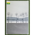 Gạch men mờ 30x60 ốp tường giá rẻ