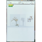 Gạch trang trí ốp tường 30x60 phòng khách