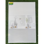 Gạch Ốp Tường 30X60 BNC 3666