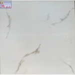 ĐÁ BÓNG KIẾNG 60X60 RRIME 12028