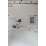 Gạch Ốp Tường 30X60 Long Hậu (1)