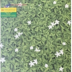 Gạch Lát Sân Vườn 40X40 Kim Phong 429K