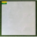 Gạch Bóng Kính 60X60 TASA 6719