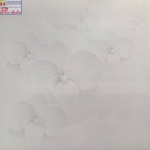 ĐÁ BÓNG KIẾNG 60X60 MIKADO 6020