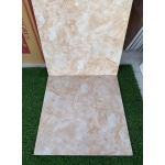 ĐÁ BÓNG KIẾNG 60X60 Á MỸ (2)