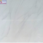 ĐÁ BÓNG KIẾNG 60X60 RRIME 7041