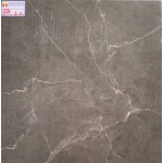 Gạch Bóng Kiếng 60x60 Tasa 6906