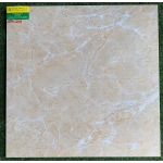 GẠCH BÓNG KÍNH 60X60 THẮNG CƯỜNG 6911