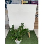 Gạch bóng kiếng giá rẻ 80x80 màu trắng