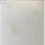 ĐÁ BÓNG KIẾNG 80X80 Á MỸ 8024