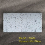 Gạch 60x120 nhập khẩu Trung Quốc đá mờ terrazzo 