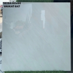 Gạch bóng kiếng lát nền giá rẻ 60x60 mã 647 hàng Việt Nam