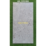 Gạch 60x120 đá mờ vân chấm bi