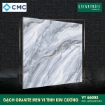 Gạch 60x60 đá granite màu sang năm 2022