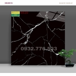 Gạch 60x60 màu đen bóng kiếng vân trắng mã 6620