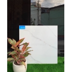 Gạch 60x60 màu trắng họa tiết đơn giản