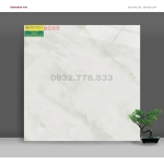 Gạch 80x80 màu sắc đẹp mã 8053