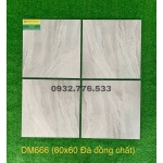 Gạch đá đồng chất 60x60 mã DM666