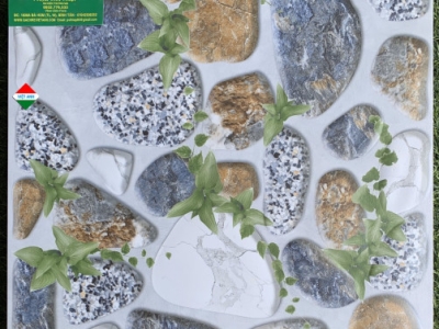 Gạch cao cấp Đồng Tháp chất lượng giá tốt