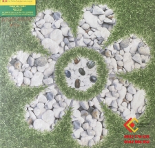 Gạch Lát Nền 40X40 Hoàng gia (3)