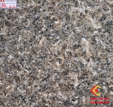 Gạch Bóng Kiếng 60x60 Tasa 6039