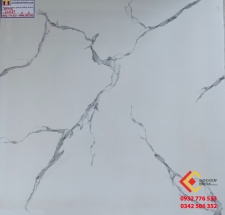 ĐÁ BÓNG KIẾNG 60X60 Á MỸ 660683