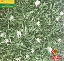 Gạch Lát Sân Vườn 40X40 Mikado 403