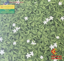 Gạch Lát Sân Vườn 40X40 Kim Phong 429K