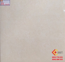 Gạch Bóng Kiếng 60x60 Tasa 6047