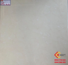 Đá Bóng Kiếng 60x60 VIGLACERA 6004