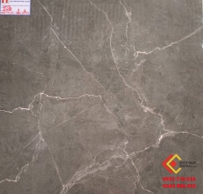 Gạch Bóng Kiếng 60x60 Tasa 6906