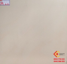 Gạch Bóng Kiếng 60x60 Tasa 6954