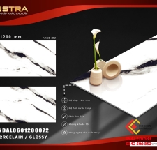Gạch 60x0120 high glossy white with black veins hàng Ấn Độ