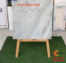 GẠCH 60X60 MÀU XÁM ĐÁ BÓNG KIẾNG TOÀN PHẦN TẠI CỦ CHI