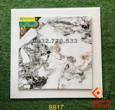 Gạch 80x80 ngọc thạch nhập khẩu Trung Quốc mã 8817