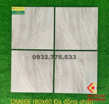 Gạch đá đồng chất 60x60 mã DM666